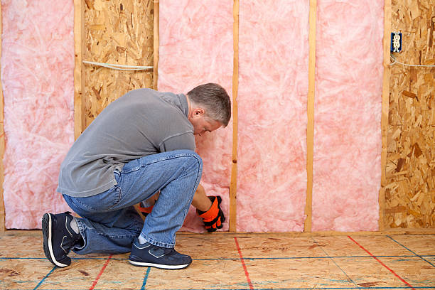 Best Insulation Maintenance and Repair in Pulaski, WI